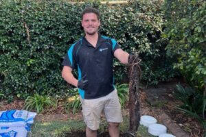 Local plumber tips and advice