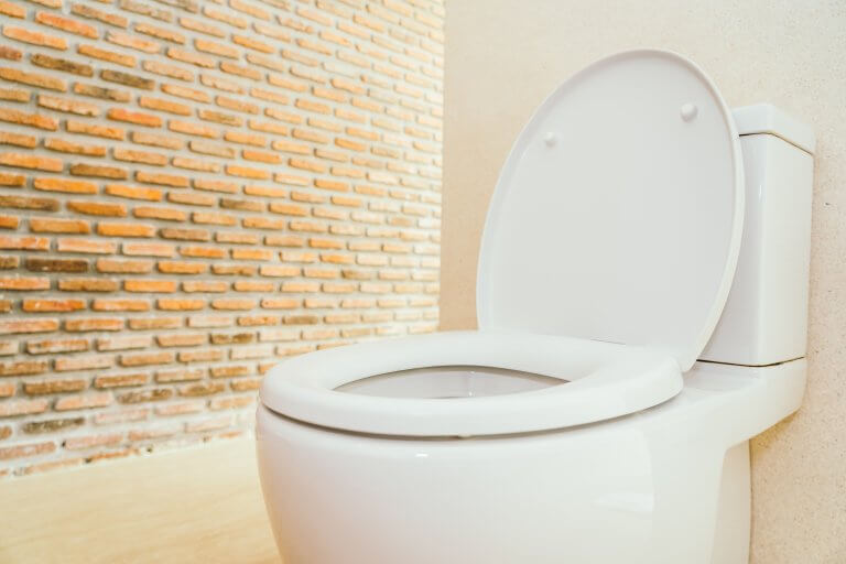 Best Solutions for Your Blocked Toilet