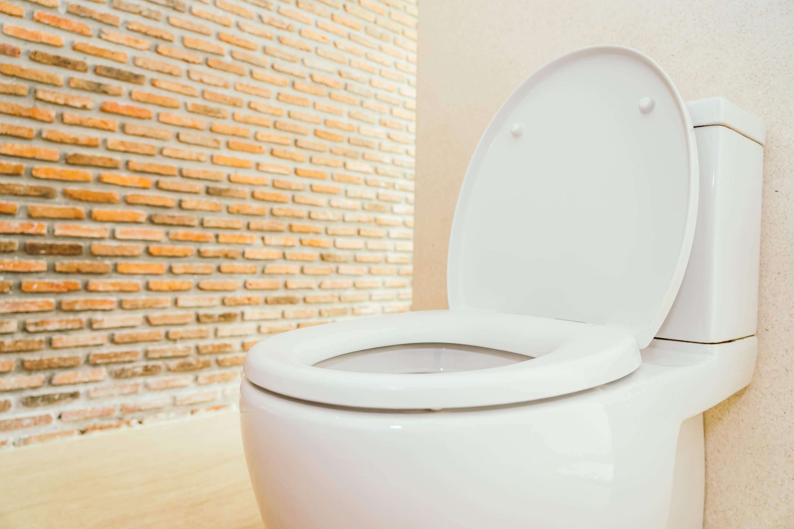 What Is A Cistern Toilet